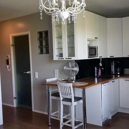 Lägenhet Kauppakatu With Sauna Idensalmi